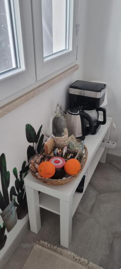Garden Room 피사 외부 사진
