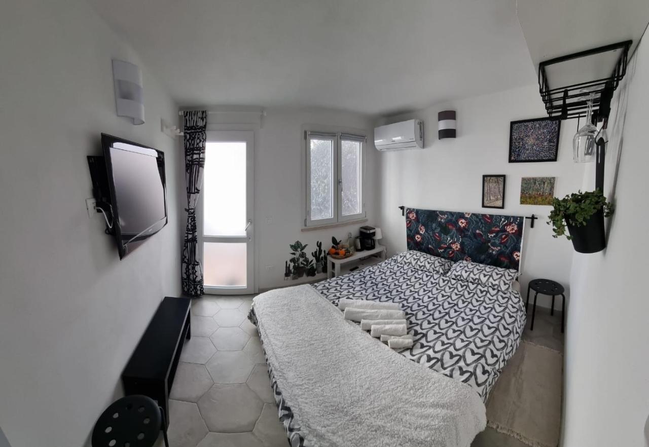 Garden Room 피사 외부 사진